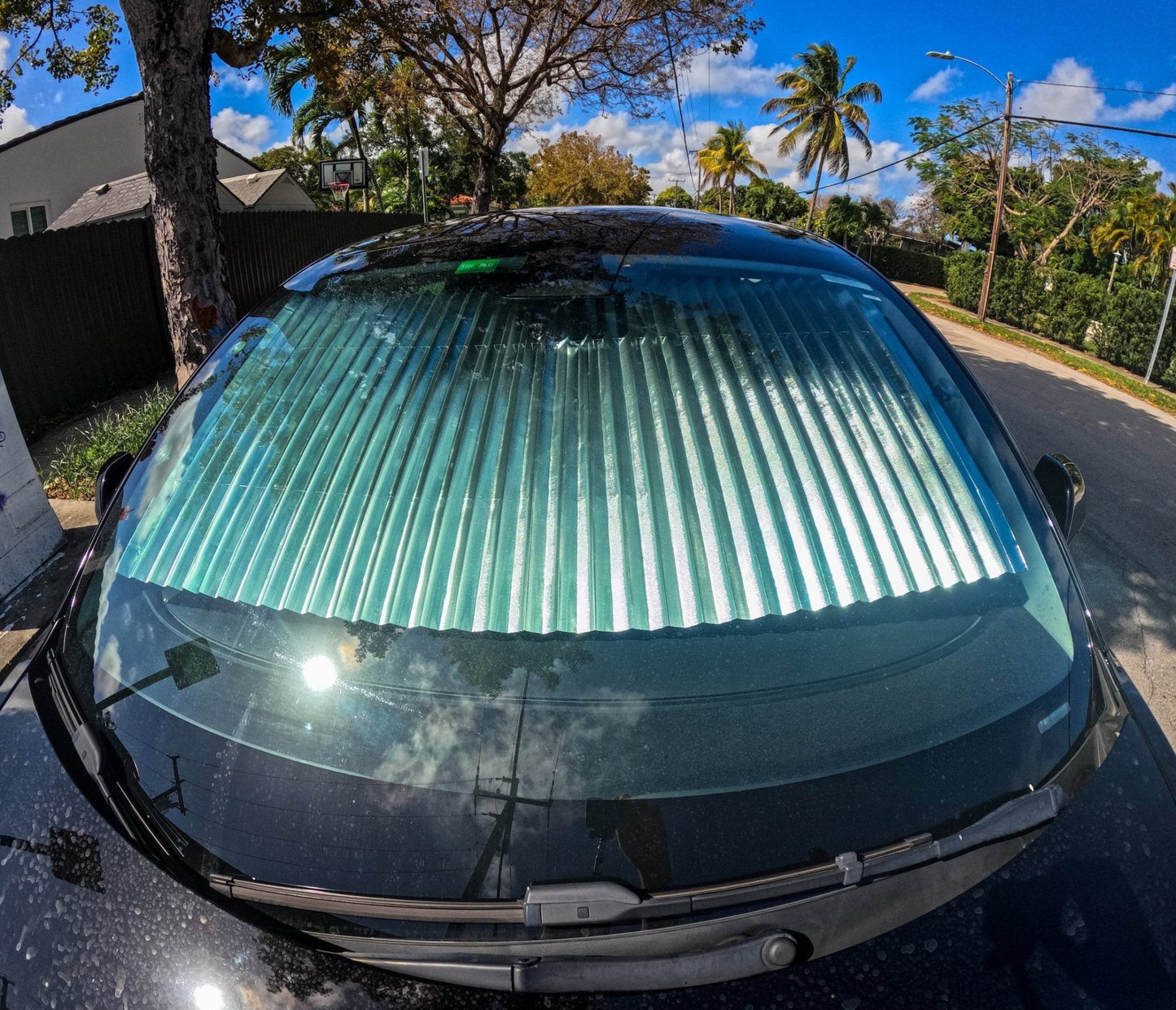 All - Weather Tesla Protection Suite – Floor, Trunk & Windshield Shield Kit (Model 3/Y/X/S) - Zapped Co